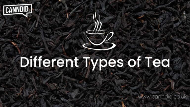 Guide to Tea Types: List of Different Types of Tea